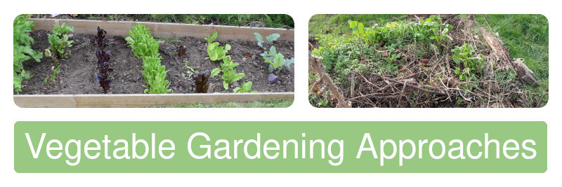 There are many different approaches to growing vegetables we've summarised some of the most popular and interesting ones to get you started.