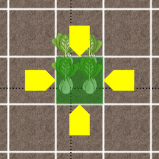 Screenshot of the Garden Planner showing the planting SFG handles