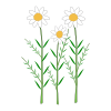 Icon showing 188