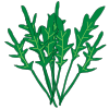 Icon showing 113